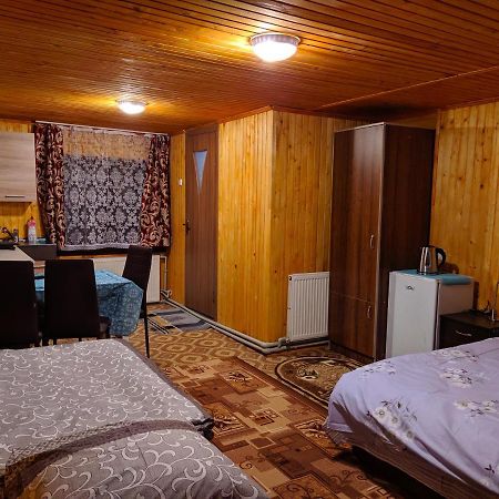 Maison d'hôtes У Оксани à Kvasy Extérieur photo