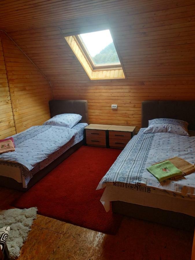 Maison d'hôtes У Оксани à Kvasy Extérieur photo